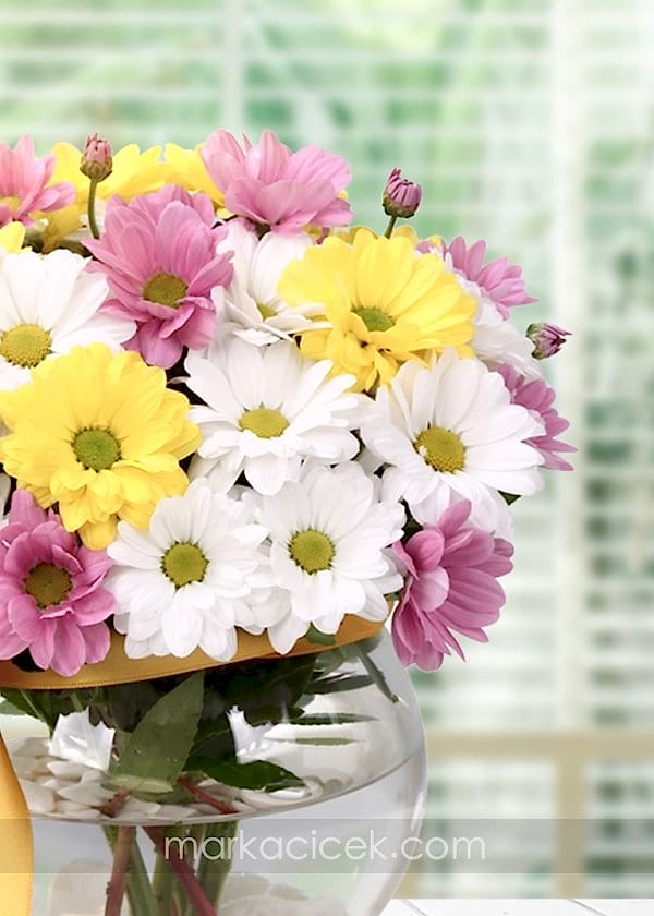 Renkli Kır Çiçekleri