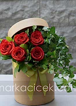Dekoratif Kırmızı Güller