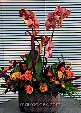 Surf song Orkide ve Turuncu Güller