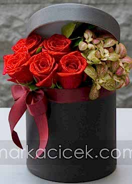 Kutuda Kırmızı Güller