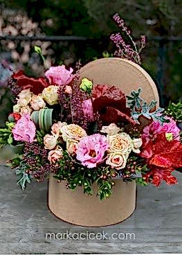 Pastel Renkler Kutusu