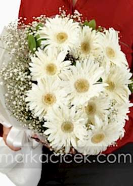 Beyaz Gerbera Buketi