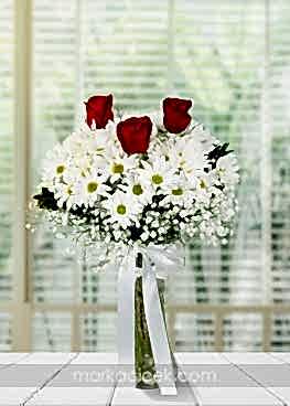 Papatyalar ve Güller