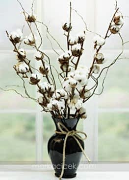 Siyah Vazoda Pamuk Dalları