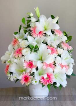 Pembe ve Beyazın Asaleti