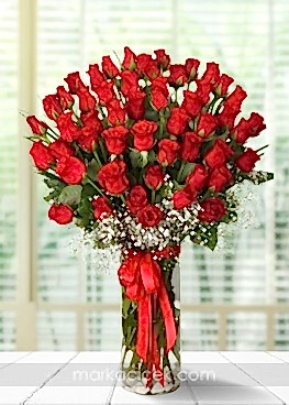 Vazoda 51 Kırmızı Gül