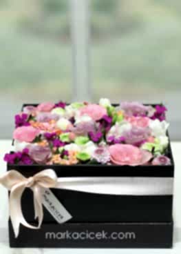 Siyah Kutuda Sempati