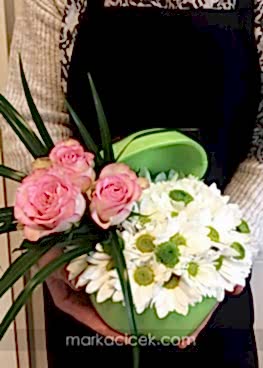 Sempatik Yeşil Elma