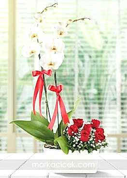 Orkide ve 7 Kırmızı Gül