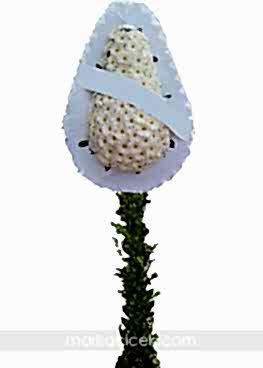 Beyaz Gereberalı Ayaklı Sepet