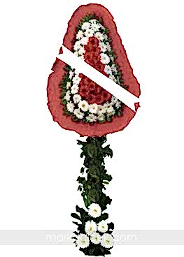 Kırmızı Beyaz Gerbera Mutluluklar