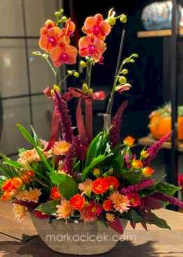 Özel Vip Orkide Aranjmanı