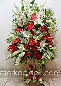 Vip Feforge Tasarımı