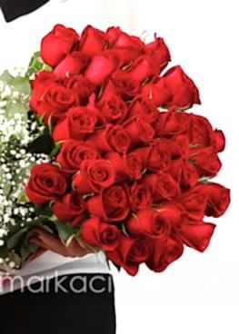 51 Gülün İhtişamı