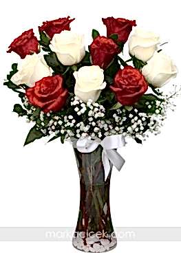 Kırmızı ve Beyaz Güller