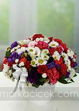 Rengarenk Kır Çiçekleri