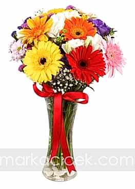 Papatyalardan Renk Cümbüşü