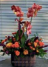 Surf song Orkide ve Turuncu Güller