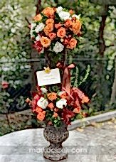 İhtişamlı ve Büyülü Güzellik