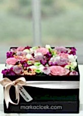 Siyah Kutuda Sempati