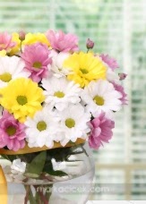 Renkli Kır Çiçekleri