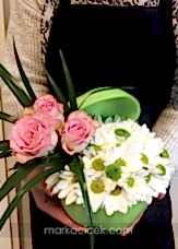 Sempatik Yeşil Elma