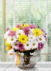 Renkli Kır Çiçekleri