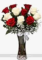 Kırmızı ve Beyaz Güller